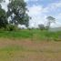  Land for sale in Santo Domingo, Santo Domingo De Los Tsachilas, Santo Domingo De Los Colorados, Santo Domingo