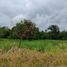  Land for sale in Santo Domingo De Los Tsachilas, Santo Domingo De Los Colorados, Santo Domingo, Santo Domingo De Los Tsachilas