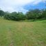  Land for sale in San Carlos, Panama Oeste, San Jose, San Carlos