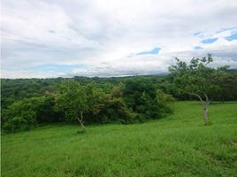  Land for sale in Panama Oeste, San Jose, San Carlos, Panama Oeste