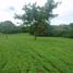  Land for sale in San Carlos, Panama Oeste, San Jose, San Carlos