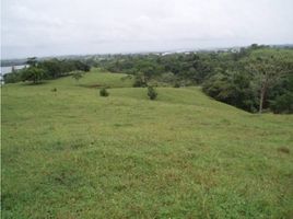  Terreno (Parcela) en venta en Iturralde, La Chorrera, Iturralde