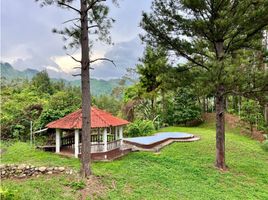 2 Schlafzimmer Haus zu verkaufen in Chame, Panama Oeste, Sora