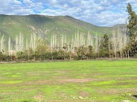  Terreno (Parcela) en venta en Maipo, Santiago, Buin, Maipo