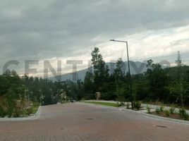  Terrain for sale in Tumbaco, Quito, Tumbaco