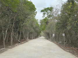  Grundstück zu verkaufen in Cozumel, Quintana Roo, Cozumel