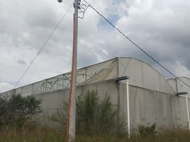  Terreno (Parcela) en venta en Union De Tula, Jalisco, Union De Tula