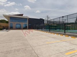  Terreno (Parcela) en venta en Tuxtla Gutierrez, Chiapas, Tuxtla Gutierrez, Chiapas
