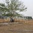  Land for sale in Gonzalez Tamaulipas, Gonzalez