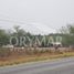  Land for sale in Gonzalez Tamaulipas, Gonzalez