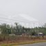  Land for sale in Gonzalez Tamaulipas, Gonzalez