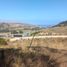  Land for sale in Navidad, Cardenal Caro, Navidad