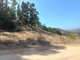  Land for sale in Navidad, Cardenal Caro, Navidad