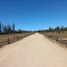  Land for sale in Litueche, Libertador General Bernardo Ohiggins, Litueche