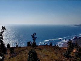  Land for sale in Navidad, Cardenal Caro, Navidad