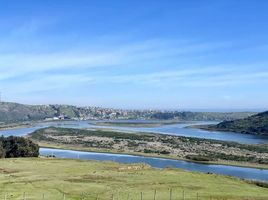  Terrain for sale in Navidad, Cardenal Caro, Navidad