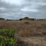  Land for sale in Navidad, Cardenal Caro, Navidad