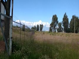  Terreno (Parcela) en venta en Nativitas, Tlaxcala, Nativitas, Tlaxcala