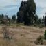  Grundstück zu verkaufen in Nativitas, Tlaxcala, Nativitas