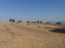  Land for sale in Nopalucan, Puebla, Nopalucan