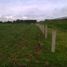  Land for sale in Nopalucan, Puebla, Nopalucan