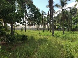  Terreno (Parcela) en venta en Acapulco, Guerrero, Acapulco