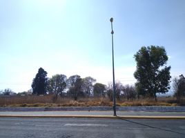  Land for sale in San Salvador El Verde, Puebla, San Salvador El Verde