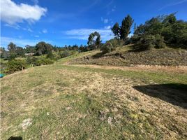  Grundstück zu verkaufen in Sesquile, Cundinamarca, Sesquile