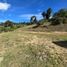  Terrain for sale in Sesquile, Cundinamarca, Sesquile