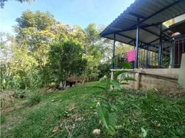 2 Habitación Casa en alquiler en Ulloa, Valle Del Cauca, Ulloa