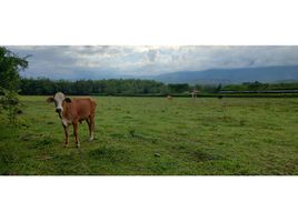  Terreno (Parcela) en venta en Jamundi, Valle Del Cauca, Jamundi