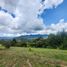 Terrain à vendre à Rionegro, Antioquia, Rionegro