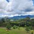 Terrain à vendre à Rionegro, Antioquia, Rionegro