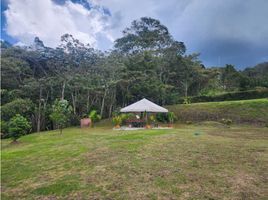 Terrain à vendre à Rionegro, Antioquia, Rionegro