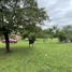  Land for sale in Chame, Panama Oeste, Bejuco, Chame