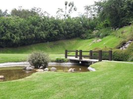 Estudio Casa en venta en Miacatlan, Morelos, Miacatlan