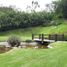 Studio House for sale in Miacatlan, Morelos, Miacatlan, Morelos