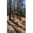  Land for sale in Mineral Del Monte, Hidalgo, Mineral Del Monte