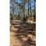  Land for sale in Mineral Del Monte, Hidalgo, Mineral Del Monte