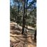  Land for sale in Mineral Del Monte, Hidalgo, Mineral Del Monte