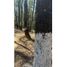  Land for sale in Mineral Del Monte, Hidalgo, Mineral Del Monte