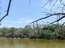  Grundstück zu verkaufen in Merida, Yucatan, Merida, Yucatan, Mexiko
