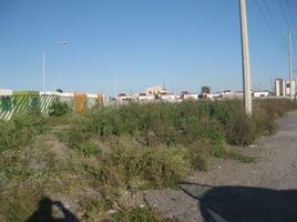  Land for sale in Juarez, Nuevo Leon, Juarez