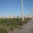  Land for sale in Juarez, Nuevo Leon, Juarez