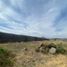  Land for sale in Miacatlan, Morelos, Miacatlan