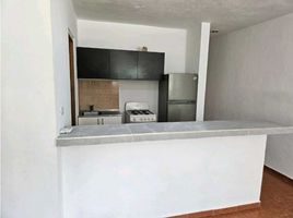 2 Bedroom Apartment for rent in Mercado 28, Isla Mujeres, Cancun