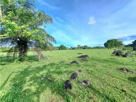 1 Schlafzimmer Haus zu verkaufen in Dolega, Chiriqui, Rovira, Dolega, Chiriqui