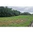  Terrain for sale in Dolega, Chiriqui, Dolega, Dolega