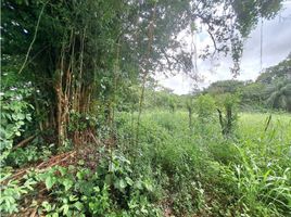  Land for sale in San Pablo Viejo, David, San Pablo Viejo