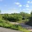  Land for sale in Seye, Yucatan, Seye